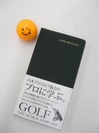 golfdiary 004.jpg
